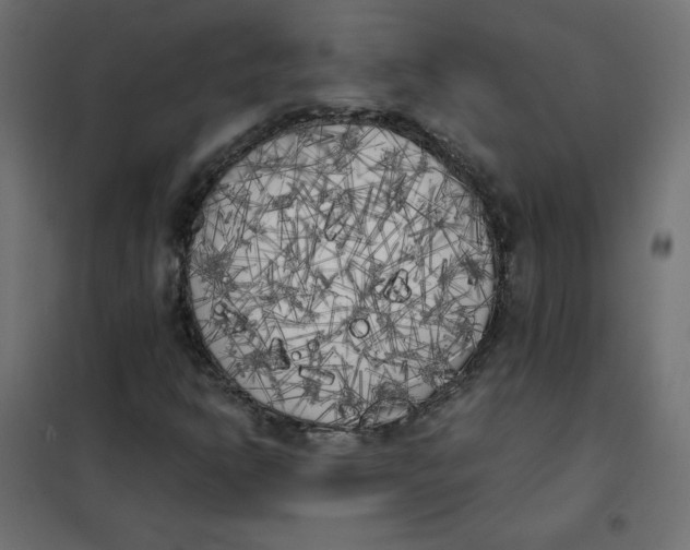 X0000101391302200807280928