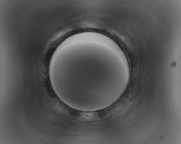 X0000101391303200807280928