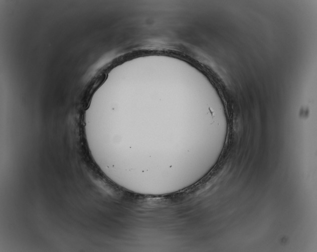 X0000101391304200807280928