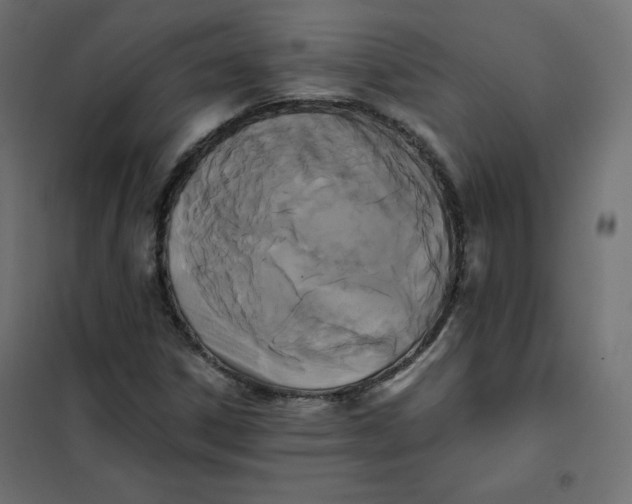 X0000101391306200807280928