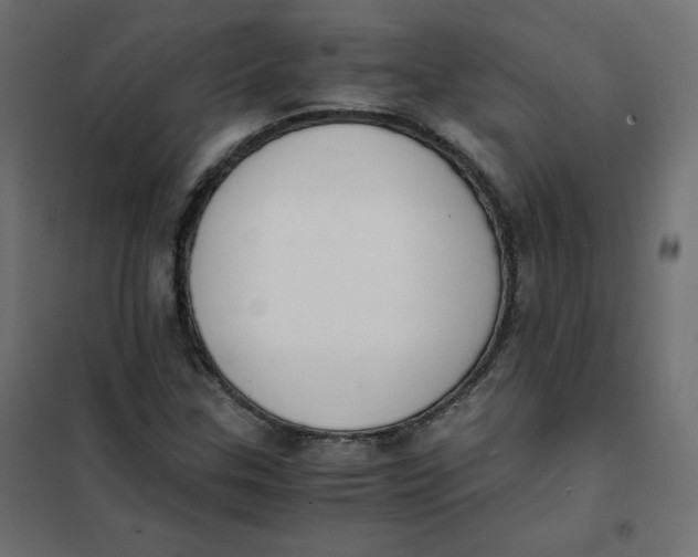 X0000101391307200807280928