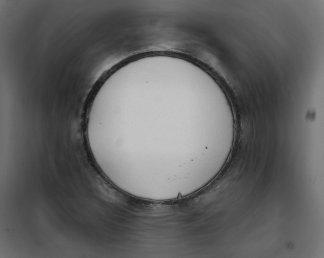 X0000101391308200807280928