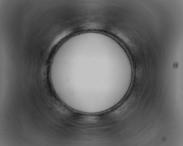 X0000101391309200807280928