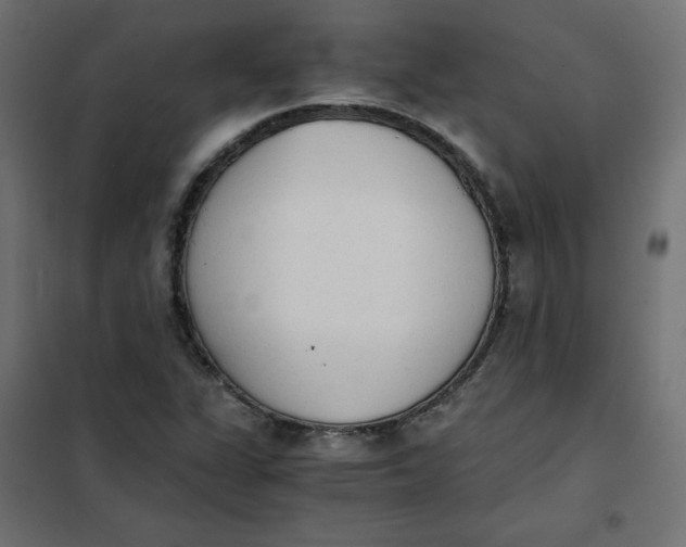 X0000101391311200807280928