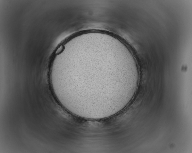 X0000101391312200807280928