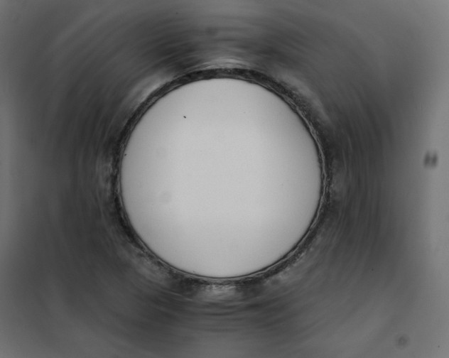 X0000101391313200807280928