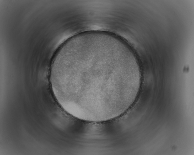 X0000101391314200807280928