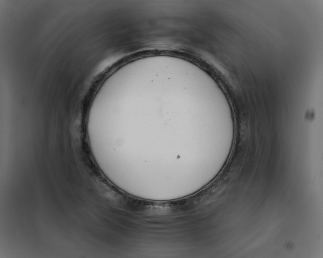 X0000101391315200807280928