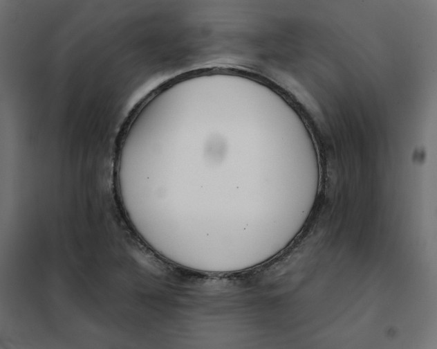 X0000101391316200807280928