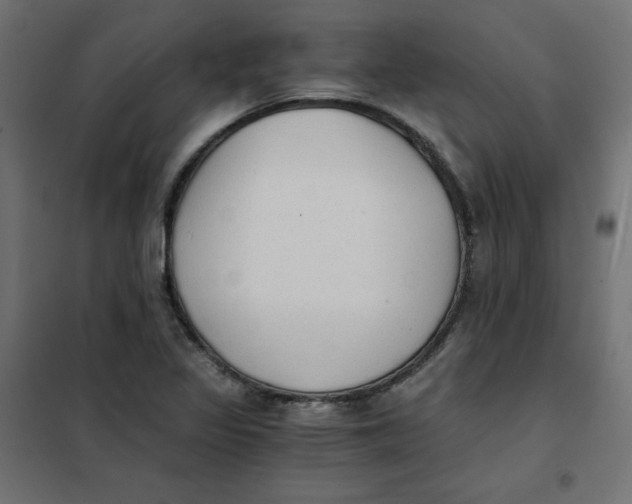 X0000101391317200807280928