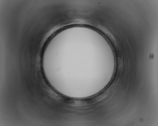 X0000101391318200807280928