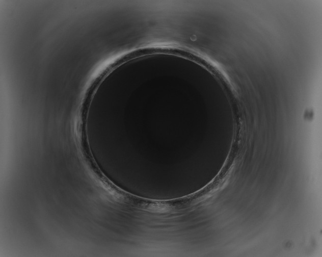 X0000101391319200807280928