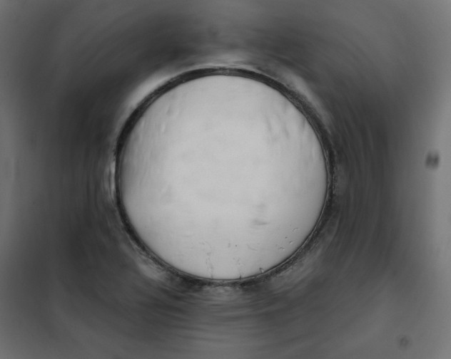 X0000101391320200807280928