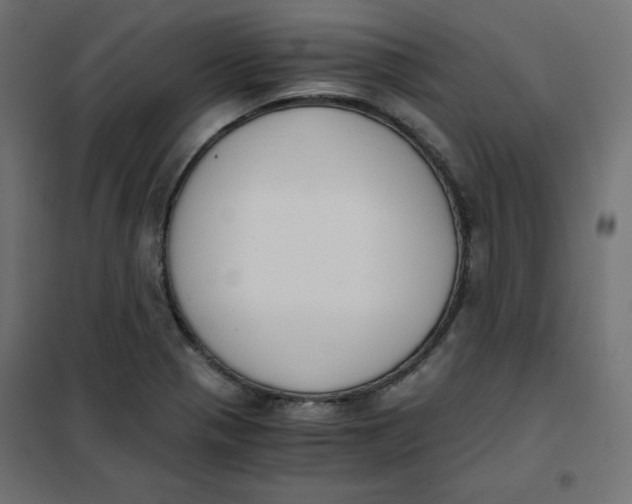 X0000101391321200807280928