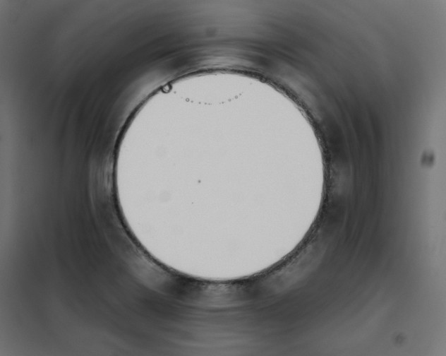 X0000101391322200807280928