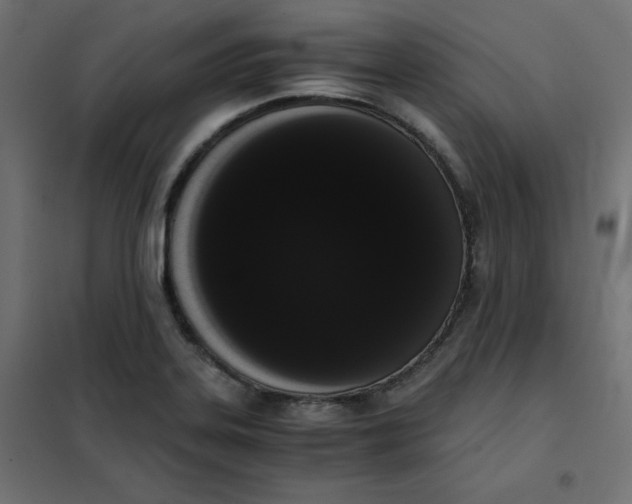 X0000101391323200807280928