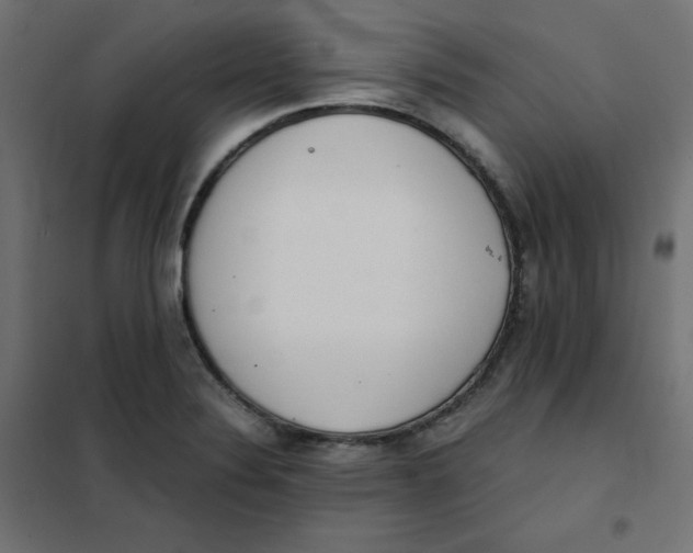 X0000101391324200807280928