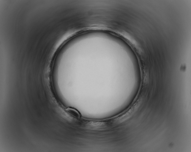 X0000101391325200807280928