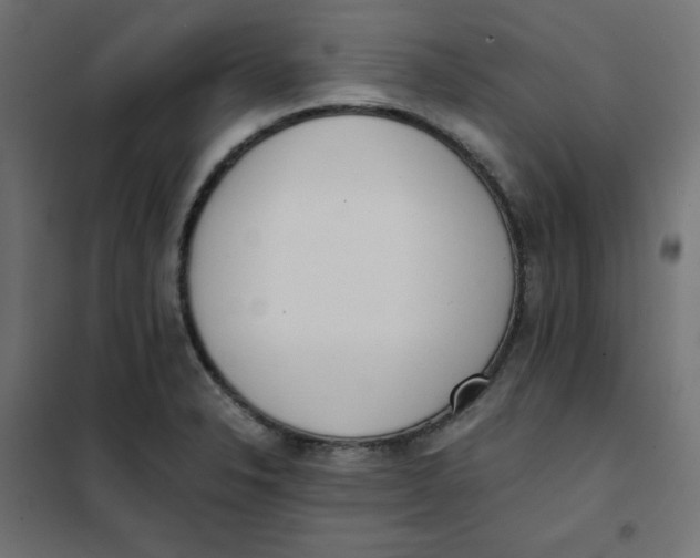 X0000101391326200807280929