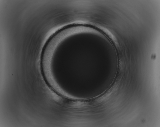 X0000101391327200807280929