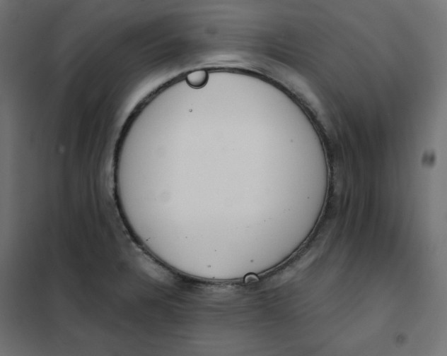 X0000101391328200807280929