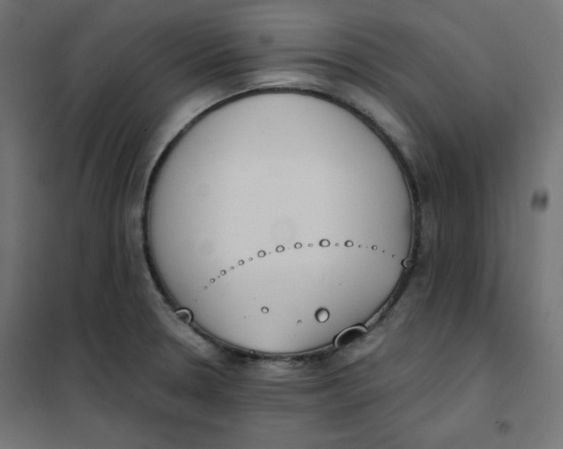 X0000101391330200807280929