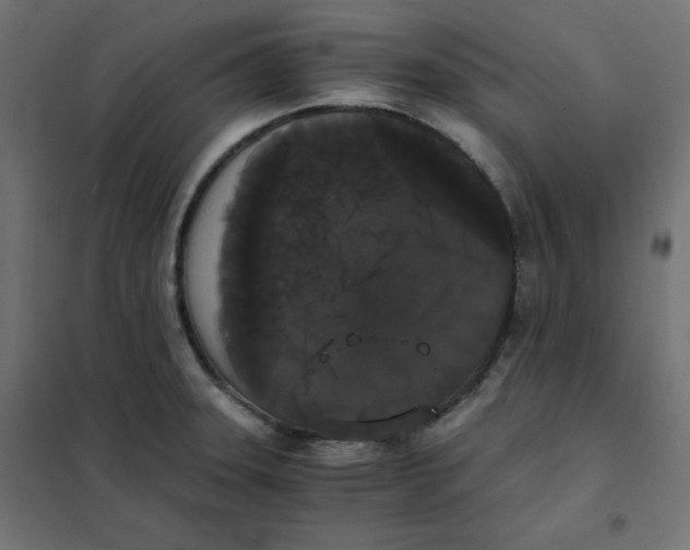 X0000101391331200807280929