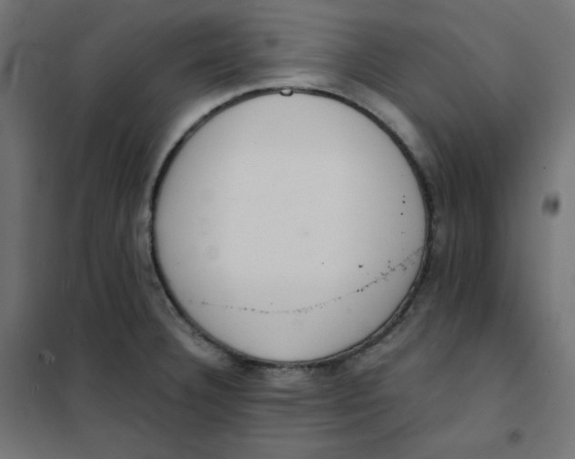 X0000101391332200807280929