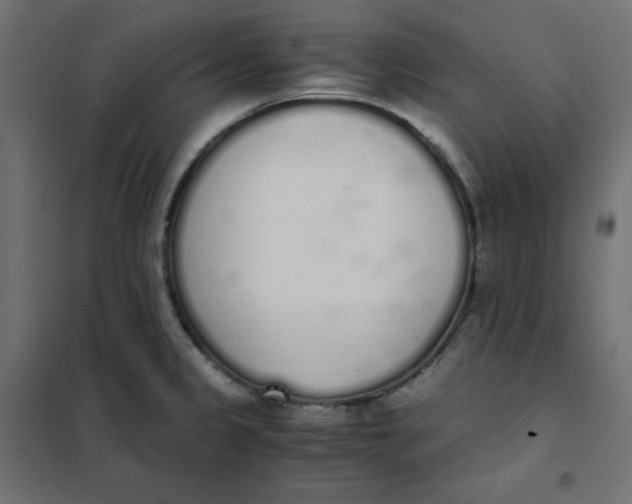 X0000101391333200807280929