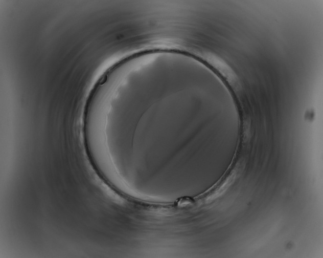 X0000101391334200807280929