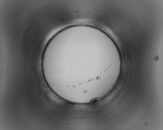 X0000101391336200807280929