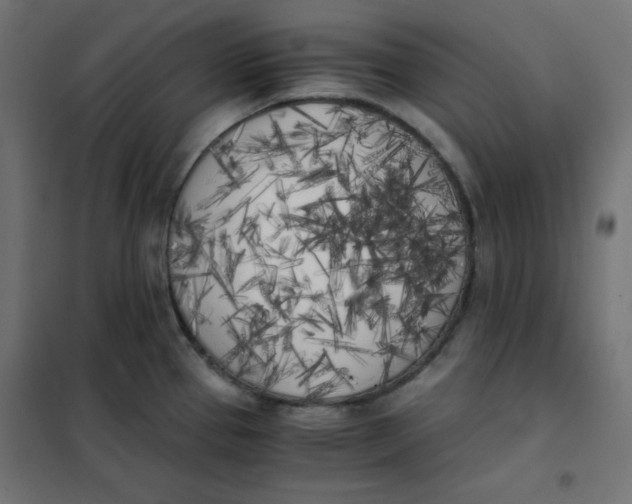 X0000101391337200807280929