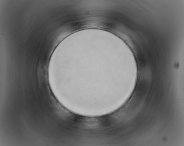 X0000101391338200807280929