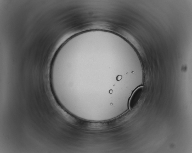 X0000101391339200807280929