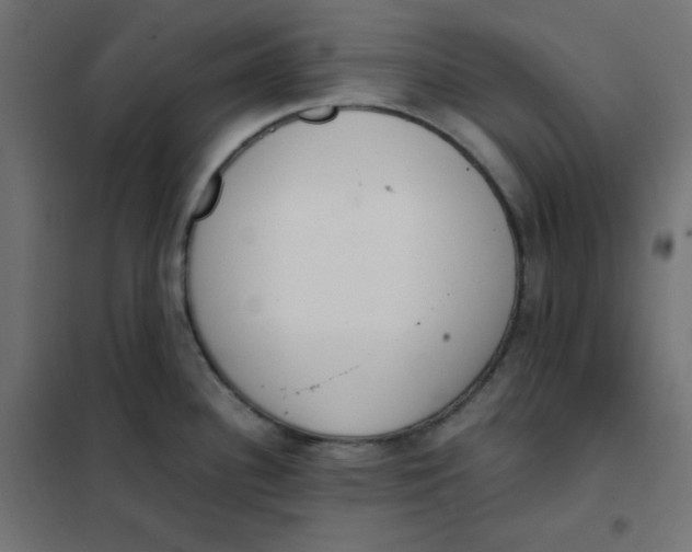 X0000101391340200807280929