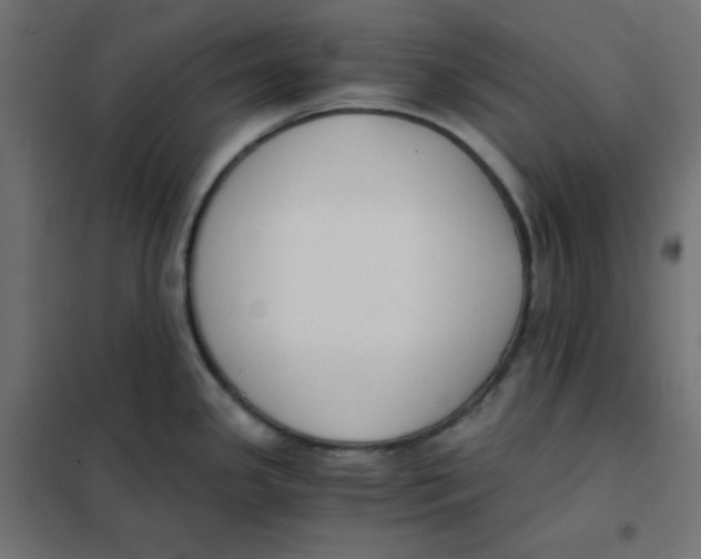 X0000101391341200807280929