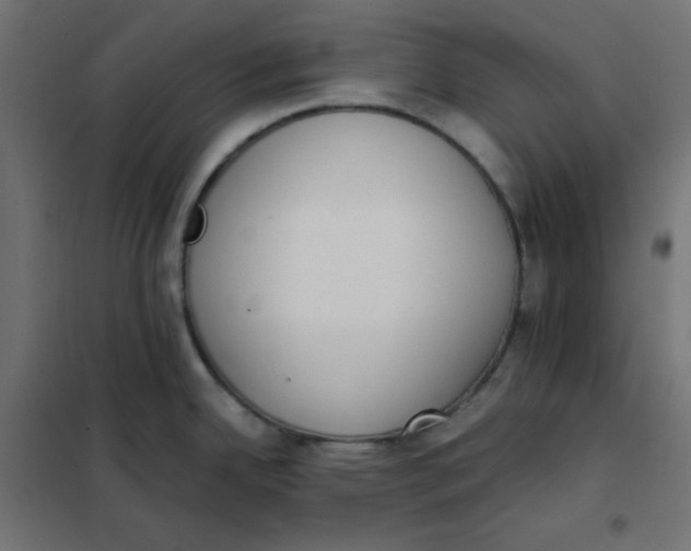 X0000101391342200807280929