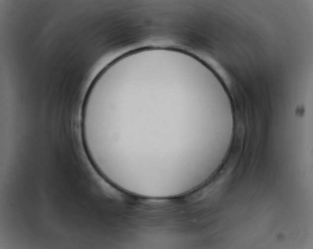 X0000101391343200807280929