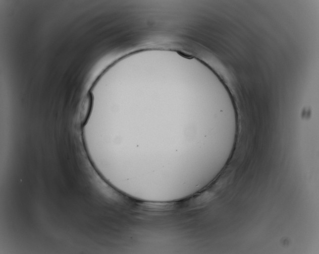 X0000101391344200807280929