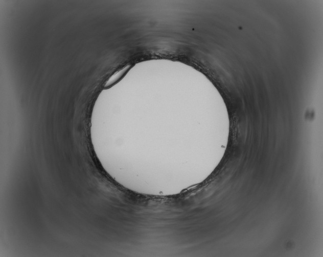 X0000101391345200807280928