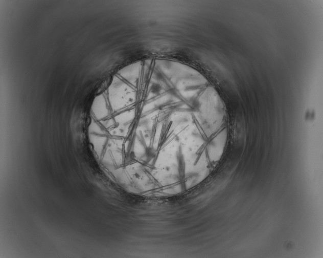 X0000101391346200807280928