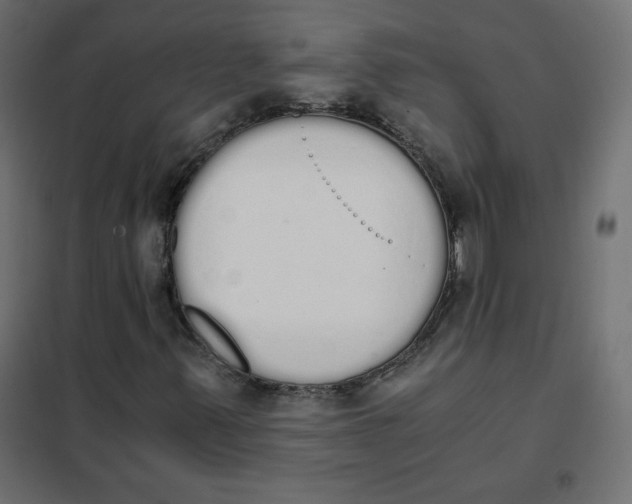 X0000101391347200807280928