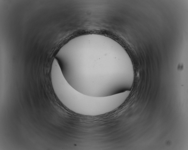 X0000101391348200807280928