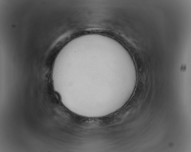 X0000101391351200807280928