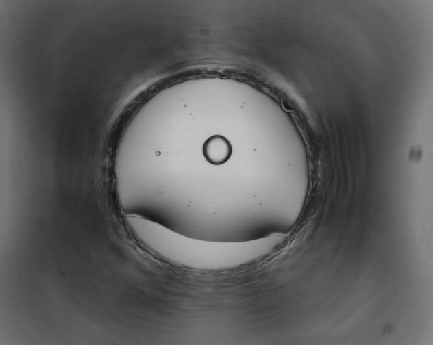 X0000101391352200807280928