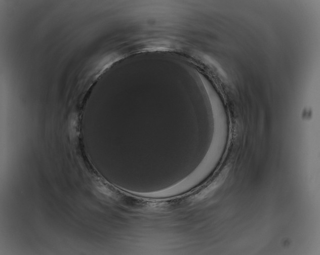 X0000101391353200807280928