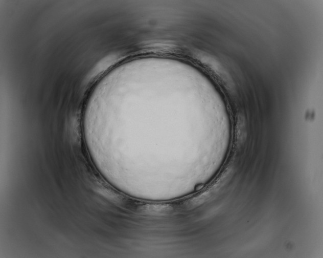 X0000101391354200807280928