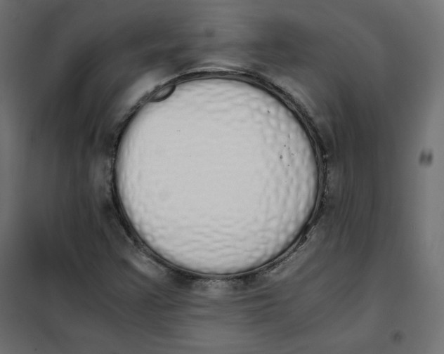 X0000101391355200807280928