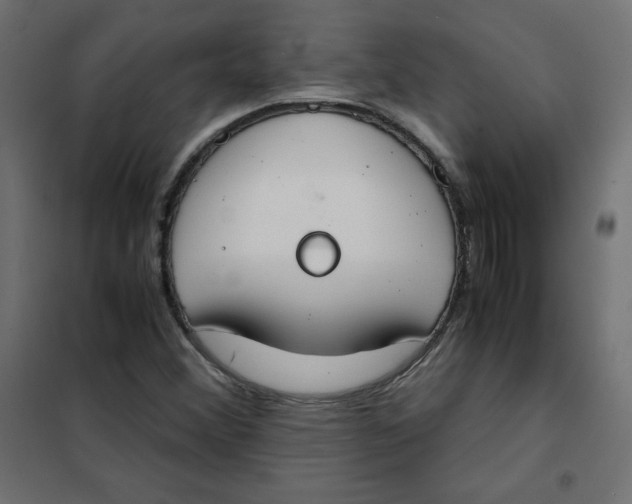 X0000101391356200807280928