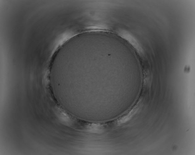 X0000101391357200807280928